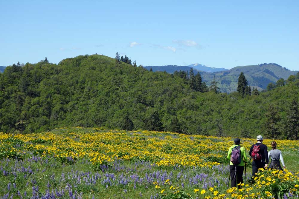 Memaloose hikers