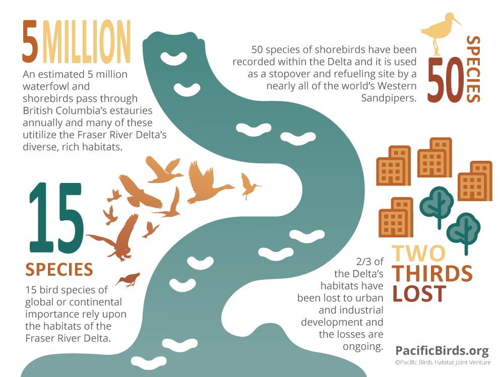 Coastal Estuaries By the Numbers.