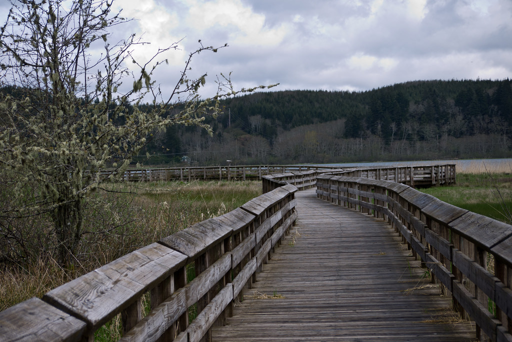 Going to Grays Harbor National Wildlife Refuge? eBird will show you what species to expect- see the link below.Charles Higgins © Creative Commons