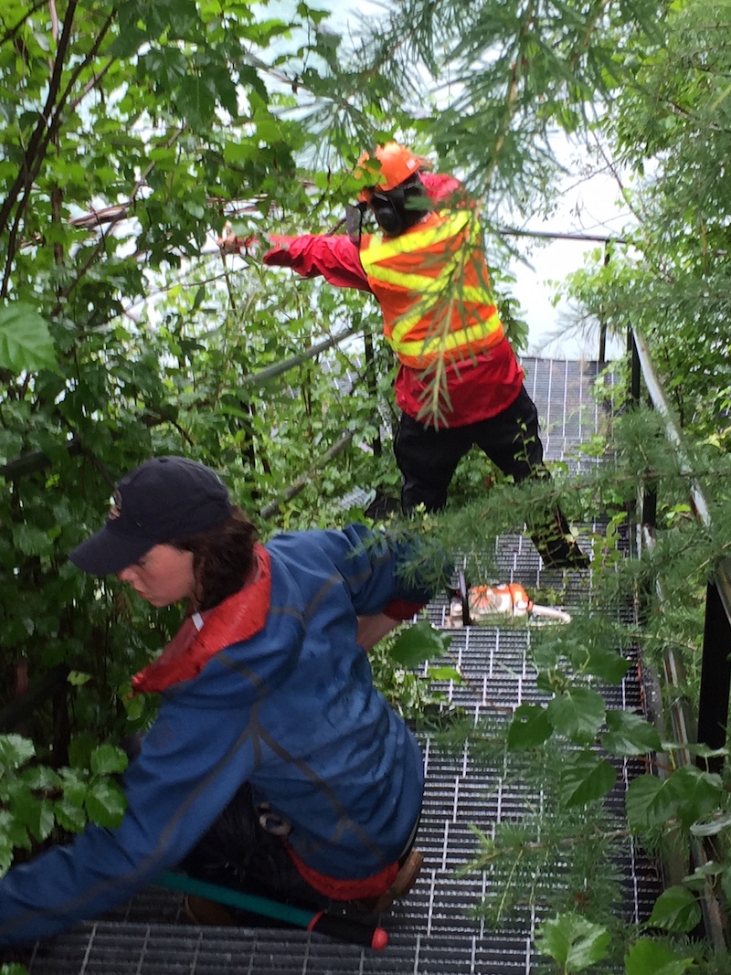 Joel and Courtney maintaining the staircase to the river.